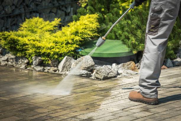 Best Roof Washing  in Fruitvale, CO