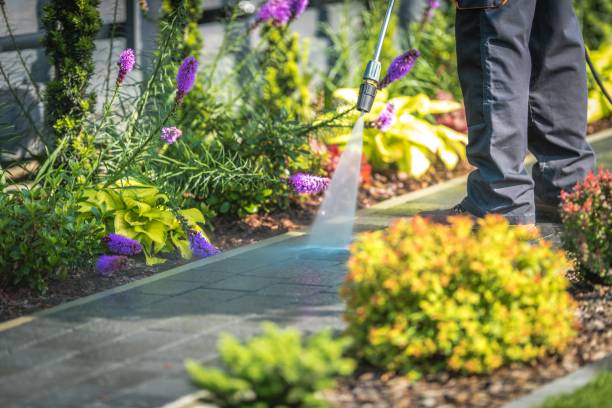Winterizing Services in Fruitvale, CO
