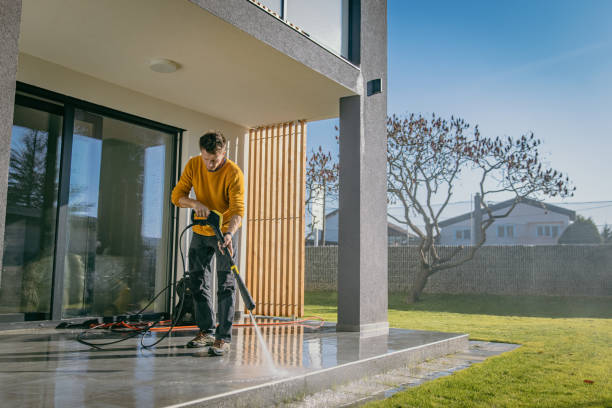 Best Graffiti Removal  in Fruitvale, CO